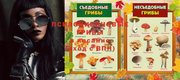 a pvp Богданович