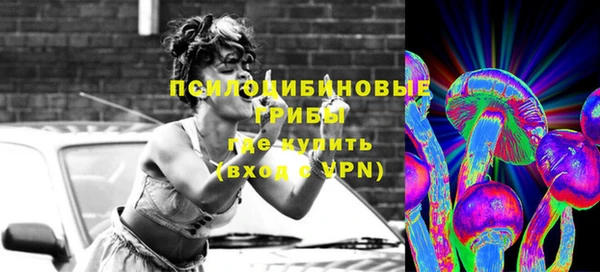 дурь Белоозёрский