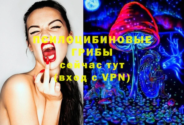 амф Белокуриха